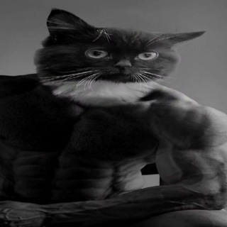 Чат || Общение || знакомства