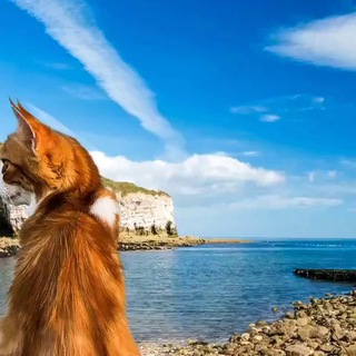 КОБУЛЕТИ🇬🇪для всех и каждого💞