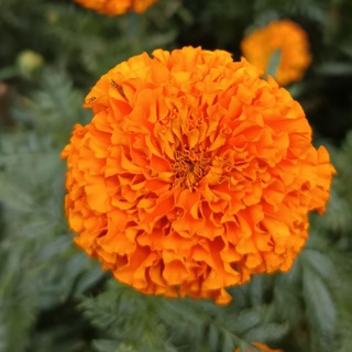 কল্পকথা