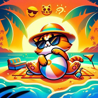 Общение котёнка😸общение, развлечения, знакомства.❤️