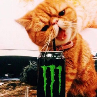 чат 🔥Kotik mods🥹