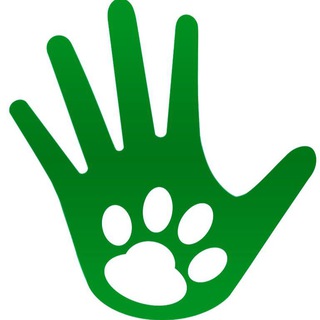 Кожухово_Dogs