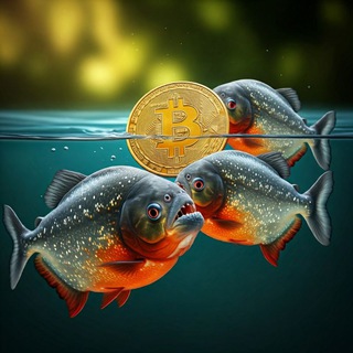 BORSA PİRANHA 🐳&🐟