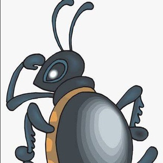 Kumbang Sloter x MESIN 4D