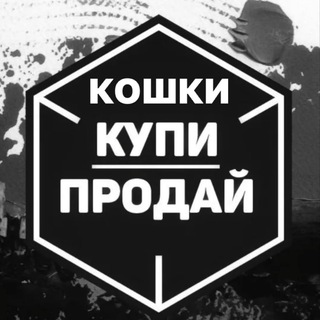 БАРАХОЛКА КОШКИ КУПИ|ПРОДАЙ