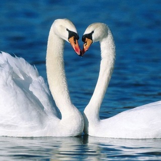 Знакомства Купянск, Харьков