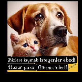 🇰𝘂̈𝐑𝐓💞🇰𝐈🇿𝐈☕🩵🕊️