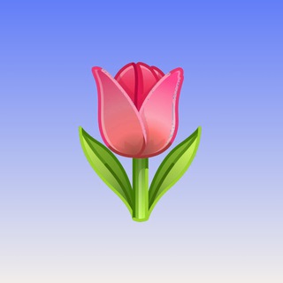 Цветы Кожухово