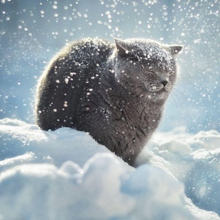 LANGEWEILEGRUPPE 🍁🌦🍄‍🟫