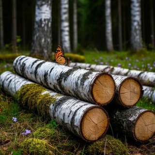 Лесная индустрия и пиломатериалы РФ