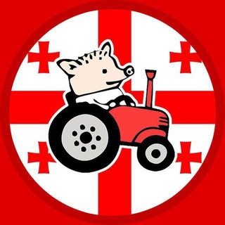 Жизнь в Грузии (ЖВГ)