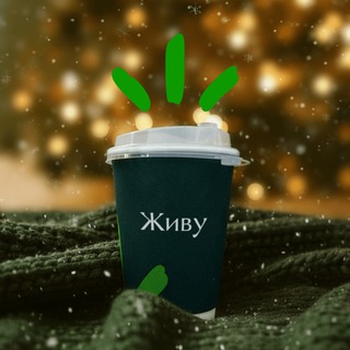 Чат покупателей Чернышевского, 88. Уфа