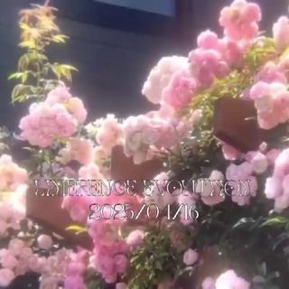 ㅤ‌ㅤ‌‍‌. lım̷erence̷