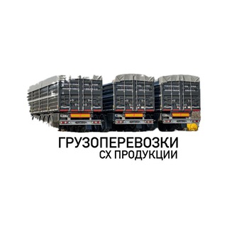 Грузоперевозки ЗЕРНО 〽️