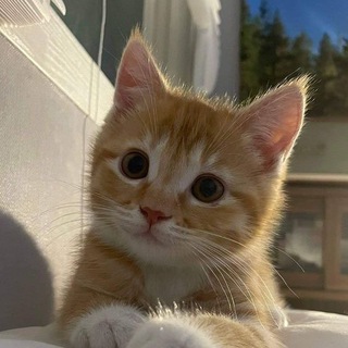 люблю общаться