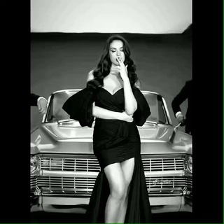 The Mafia Queen 𓅇꙰᭄