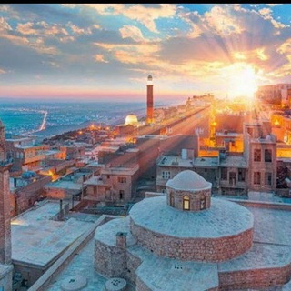 𝐌𝐀𝐑𝐃𝐈𝐍 𝐒𝐎𝐇𝐁𝐄𝐓