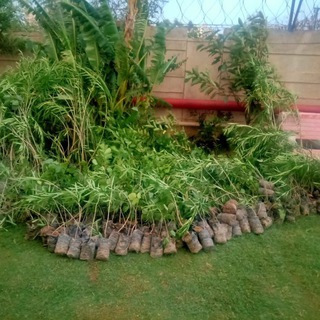 Market Place Ghaziabad👑