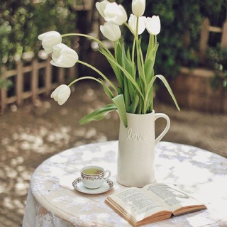 ✨SOHBET HAYALHANEM