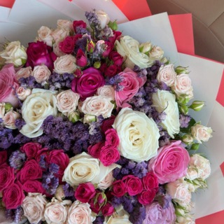 ترجمة ملازم الصيدلانيه ✨