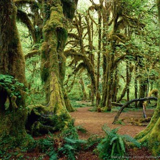 Знакомства Новороссийск Алёна