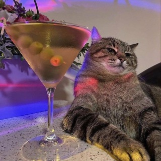 Chéo Ref Bào Bot 24/7