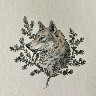 Midnight Vixens 🐺🩶