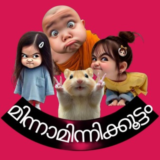മിന്നാമിന്നിക്കൂട്ടം malayalam Friendship group