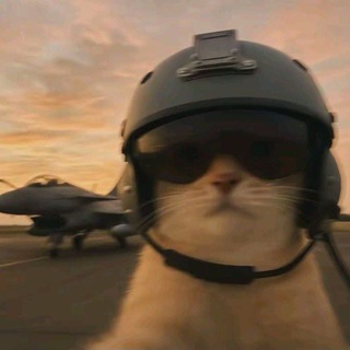 "🍷" 𝐀ʟ๏ɴє 𔘓 𝐇ᴏᴜƨᴇ 𓂃ꠂ💗ˎˊ˗