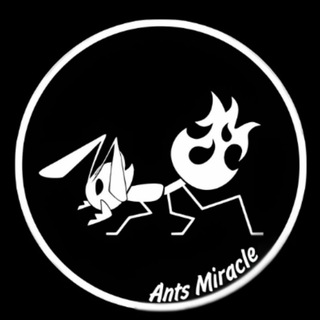 Ants Miracle Community
