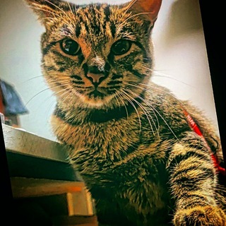 Схемы знакомства ❤️ Мы тут🌹