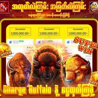 ကျွဲဂိမ်းစလော့ဂိမ်း၊ ကာစီနို