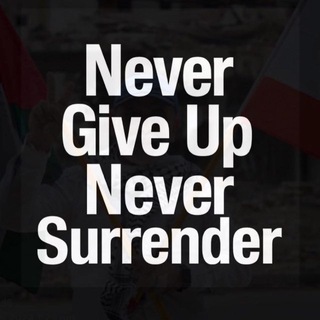 Mohamed Elmay - Free Palestine