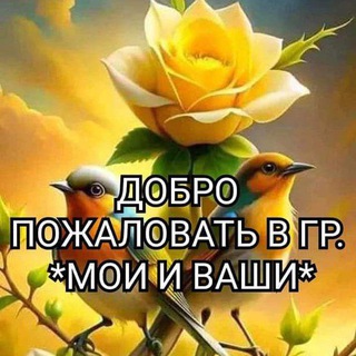 МОИ И ВАШИ😉🌍