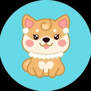 🎀 🐶Mommy doge Coin france 🐶🎀