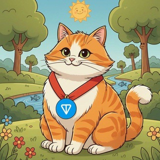 Money Cats Community 🐱