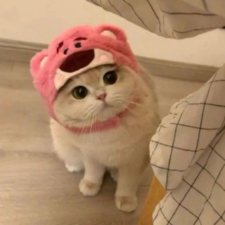 𝙈𝙤𝙉𝙚𝙮 𝙇𝙪𝙓𝙪𝙍𝙮 ☂