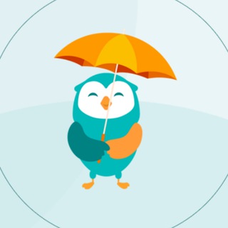 MoneyOwl Chats 💬🦉