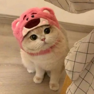 𝐃𝐈𝐀𝐌𝐎𝐍𝐃 𝐌𝐎𝐍𝐄𝐘 💎