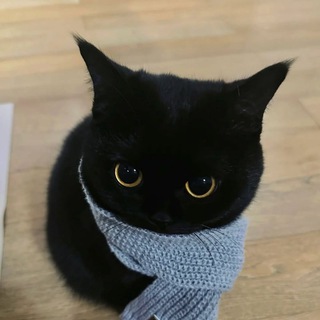 Мой канал знакомства