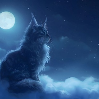 𝐏𝐑𝐈𝐕𝐀𝐓𝐄 2.0 | 𝐏𝐑𝐄𝐌𝐈𝐔𝐌 𝐇𝐃 𝐌𝐎𝐕𝐈𝐄𝐒 & 𝐃𝐎𝐖𝐍𝐋𝐎𝐀𝐃𝐒