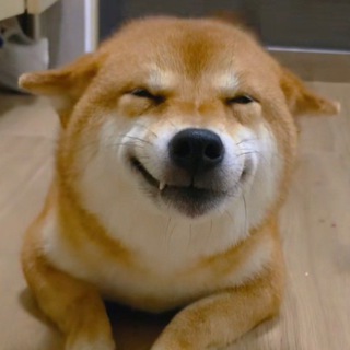 DEX Panswap.site & Dogo