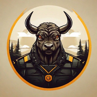 Solana bullish shill Lounge