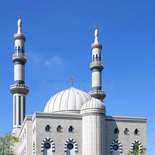 Сестры мусульманки в Нидерландах, помощь, знакомства между сестрами, информация.Только для сестер.