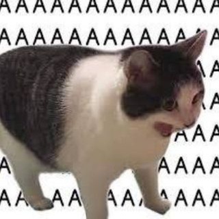 На связи. Помощь Курск