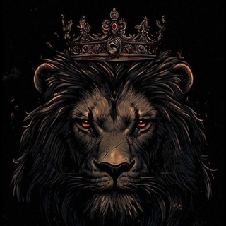 𝐋𝐄𝐎𝐍 𝐂𝐇𝐀𝐓シ︎