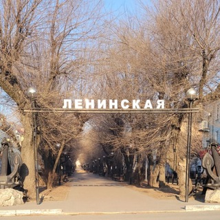 Находка мусофирлар