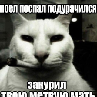 Знакомства с некитом и его номером🙈🙈