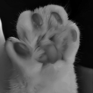 Новые знакомства Крутец/Широкий Буерак🕸