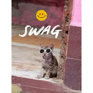 New Youtubers support group